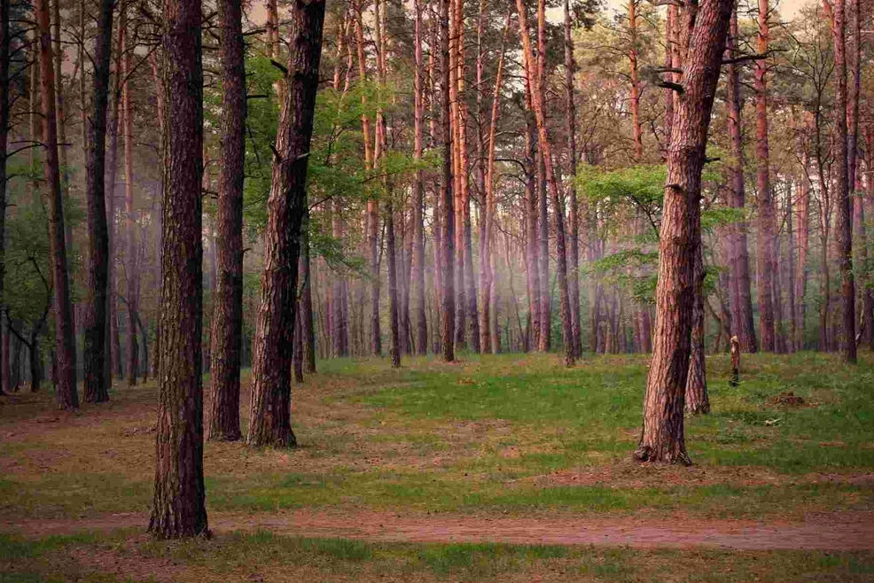 Le Crown Hotel, Four-star Business Class Hotel Vagamon